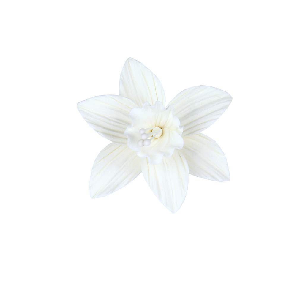 OCreme Gumpaste White Daffodil Flower Set Of 6-2 Inch - Edible Flowers For Cake Decorating - Sugar Paste Flower Decorations For Cakes  Cupcake Toppers - Birthday Party  Wedding  Valentines Day
