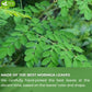 Moringa Leaf Tea Bags, 100% Natural & Pure from Moringa Leaves. Loose Leaf Moringa Herbal Tea. Moringa Leaf Tea. No Sugar, No Caffeine, No Gluten, Vegan