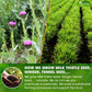 Premium Stomach & Liver Herbal Tea