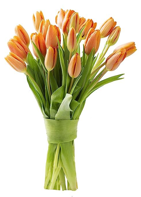 KaBloom Flowers - Mother's Day Collection - Bouquet of 10 Orange Tulips without vase. Gift for Birthday, Sympathy, Anniversary, 