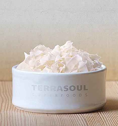 Terrasoul Superfoods Raw Coconut Chips (Organic), 12 Ounce (Pack Of 2)