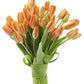 KaBloom Flowers - Bloomia collection - 15 Orange Tulips Without Vase - Gift for Birthday, Sympathy, Anniversary, Get Well, Thank