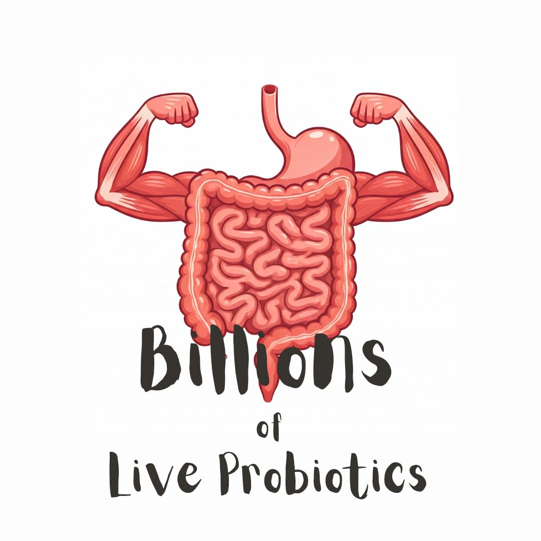 (1 TSP) Live Milk Kefir Grains - Reusable, Non-GMO Probiotic Starter Culture by Spartan Kefir - B  lgaros de Leche