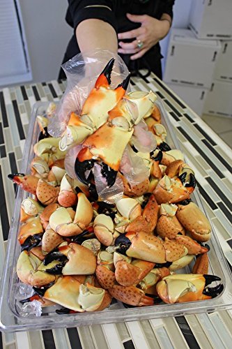 Florida Stone Crab Claws Jumbo 10 lb, Fresh Wild caughtF