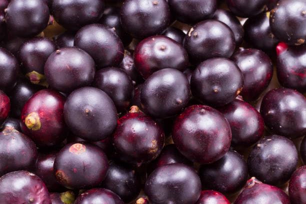 BOLERO Sugar Free Drink Mix Packets Acai Berry Flavor, Pack of 12, Model FID56819