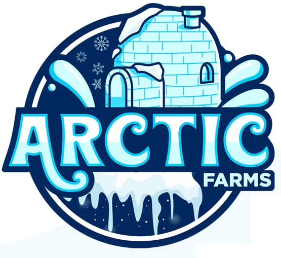 Arctic Farms Freeze Dried Ice Cream Bits Bulk - Does Not Melt (Banana) (1Lb)