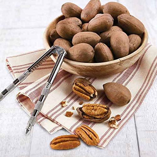 Anna and Sarah Premium Raw Fresh Pecans in Shell, 9 lbs, Pack of 1