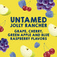 Popsicle JOLLY RANCHER Ice Pops 18 Count Candy Flavor Ice Pop For a Frozen Dessert Frozen Ice Pops With Only 35 Calories 29.7 oz