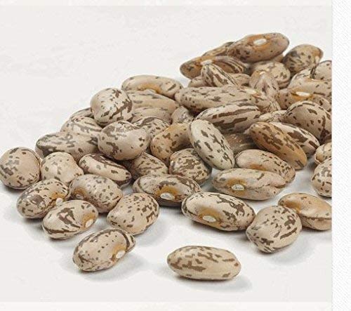 Camellia Brand Dried Pinto Beans, 1 Pound (Pack Of 2)