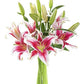 KaBloom PRIME NEXT DAY DELIVERY - Fall Collection - Barbie Pink Lily: Bouquet of 5 Fresh Pink Stargazer Lily . Gift for Birthday