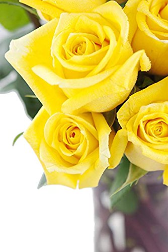 Kabloom Flowers - Bouquet Of Sunshine Yellow Roses: 18 Yellow Roses With Vase - Gift For Birthday, Sympathy, Anniversary, Get Well, Thank You, Valentine, Mother’S Day Fresh Flowers
