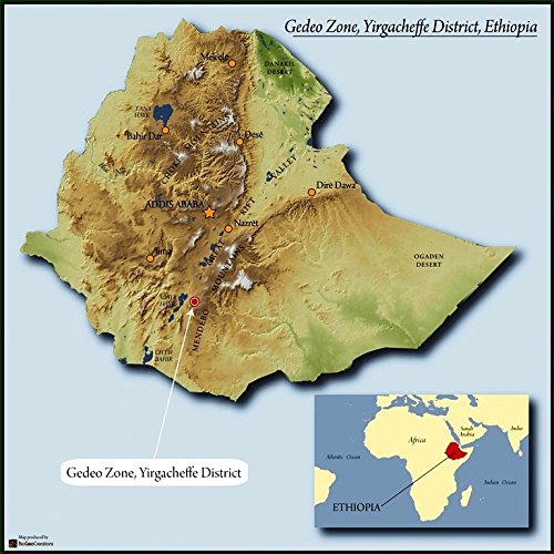 Ethiopian Yirgacheffe Green Unroasted Coffee Beans 1 Pound