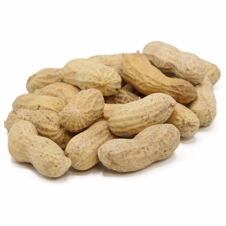 C.J. Dannemiller Raw Peanuts In The Shell, Jumbo Size, 25 Lb Bulk Bag, Perfect For Boiling, Roasting