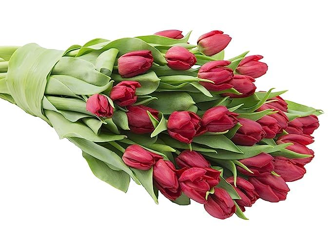 Kabloom Flowers -Valentine'S Day Collection - 30 Red Tulips, Gift For Birthday, Sympathy, Anniversary, Get Well, Thank You, Vale
