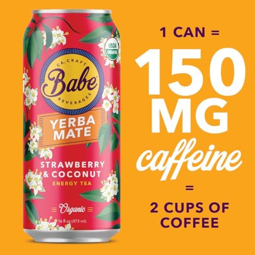 Babe Beverages Organic Yerba Mate Energy Drinks - 150mg Caffeine, Sample Pack (6 x 16oz Cans)