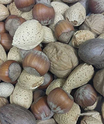 Mixed Nuts - No Brazils - In Shell - 25 Lb.