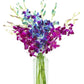 KaBloom Flowers - Mother's Day Collection - 5 Blue and 5 Purple Orchid with vase, Gift for Birthday, Sympathy, Anniversary, Get 
