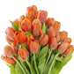 Kabloom Flowers - Bloomia Collection - 15 Orange Tulips Without Vase - Gift For Birthday, Sympathy, Anniversary, Get Well, Thank