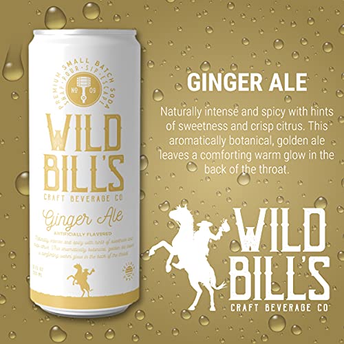 Wild Bills Craft Soda Variety Pack, Ginger Ale & Cola, Pure Cane Sugar, Caffeine-Free, 12 Fl Oz (Pack of 12)