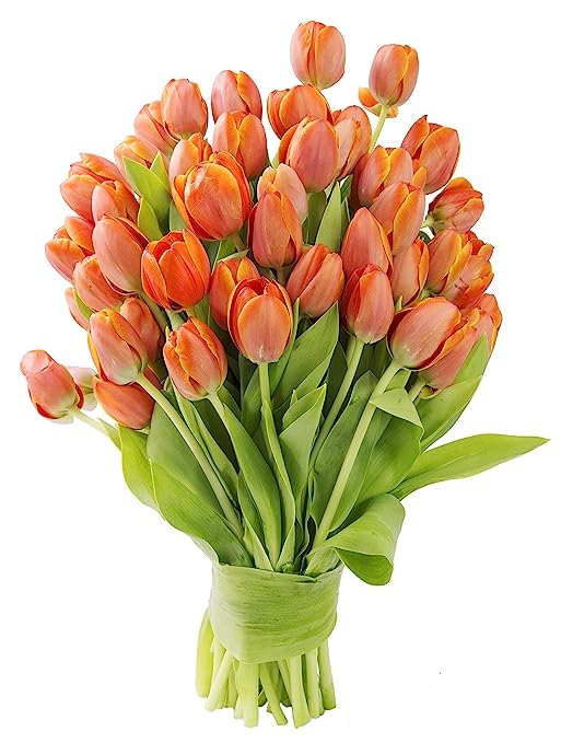 KaBloom Flowers -Valentine's Day Collection - 30 Orange Tulips, Gift for Birthday, Sympathy, Anniversary, Get Well, Thank You, V