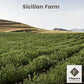 Organic Whole Dried Chili Peppers, On Stem, 25 G (0.88 Oz), Filippone, Sicilian, Fresh Grown In The Mountains Of Sicily, Spicy S