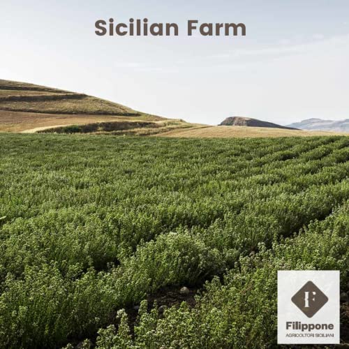 Organic Whole Dried Chili Peppers, On Stem, 25 G (0.88 Oz), Filippone, Sicilian, Fresh Grown In The Mountains Of Sicily, Spicy S