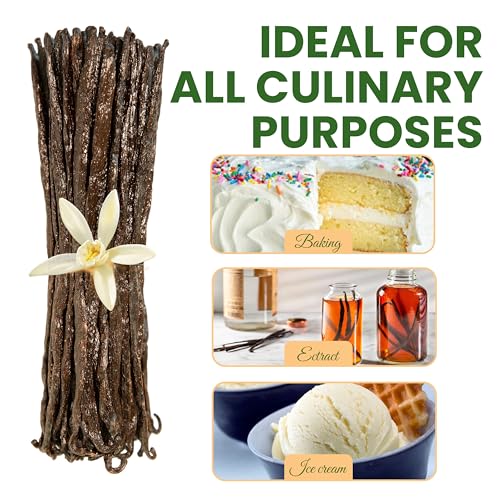 25 Count Organic Madagascar Vanilla Beans – Grade A Spirit-Inspired Flavor Pods | Gourmet Whole Vanilla Beans For Baking, Cooking, Extract Making | Rich Aroma, Enhanced Flavor, Non-Gmo, Vegan