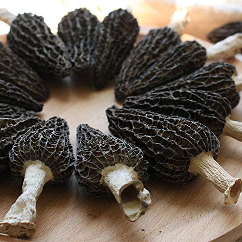 Zhanyunmaoyi Jumbo Dried Morel Mushrooms Premium Quality 100g (3.5oz) Model 00096 FBA