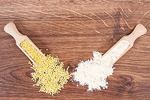 Food To Live Organic Millet Flour, 8 Ounces Non-Gmo, Kosher, Vegan, Stone Ground, Unbleached, Unbromated, Bulk, Product Of The U