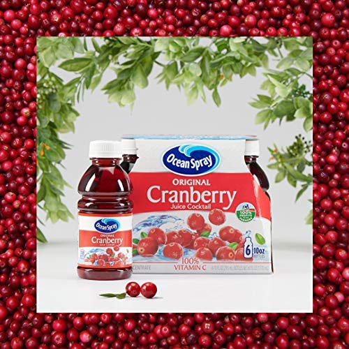 Ocean Spray Cranberry Cocktail Juice Drink, 10 Fl Oz (Pack of 6), 60 Fl Oz Total