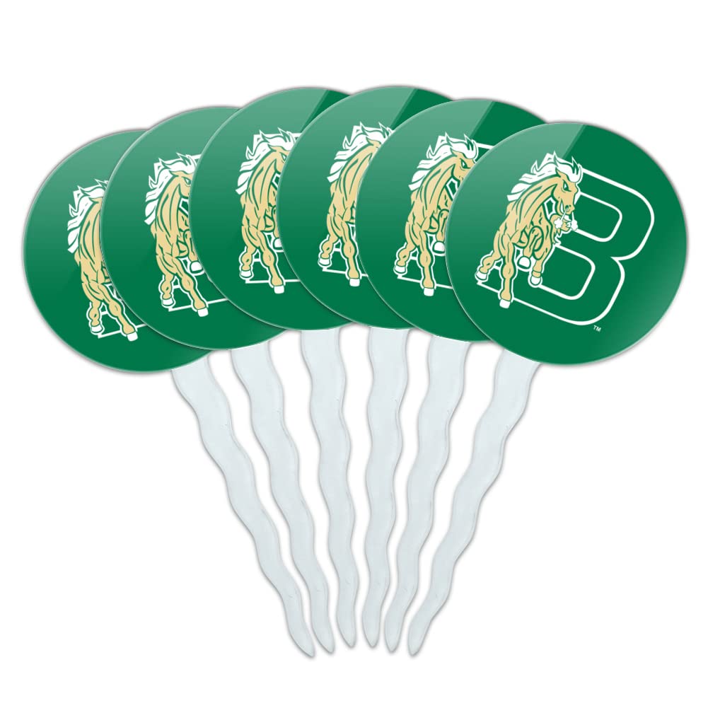 Bronx Community College Secondary Logo Cupcake Picks Toppers Decoration Set of 6