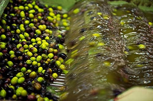 Letizia Sicilian Extra Virgin Olive Oil Dop 500 Ml