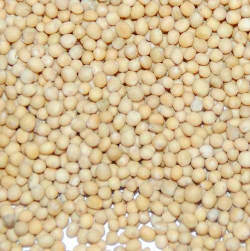 Yellow Mustard Seed-2 oz Pouch