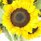 Kabloom Flowers - Sunflower Bouquet: 10 Bright Yellow Sunflowers Gift For Sympathy, Anniversary, Get Well, Thank You, Valentine, Mother’S Day Flowers