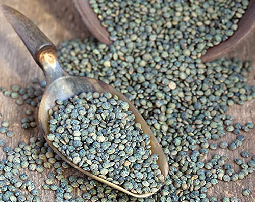 Food To Live Organic French Green Lentils, 8 Ounces - Non-Gmo, Whole Dry Beans, Raw, Sproutable, Vegan, Kosher, Bulk. Rich In Fo