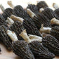 Zhanyunmaoyi Jumbo Dried Morel Mushrooms Premium Quality 100g (3.5oz) Model 00096 FBA