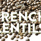 Pereg Du Puy French Green Lentils (16 Oz) - Lentil Beans Dry - Non-GMO & Additive Free - Ideal for Stews  Indian Curries  Tacos & Soups - Vegan Diet-Friendly - High In Protein & Fiber