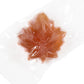 Maple Drops Individually Wrapped Hard Candies Made with Pure Maple Syrup - 5 Ounce