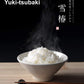 Yuki Tsubaki Ultra Premium Koshihikari White Rice, 11 Pound (5kg) - Rare Japanese Uonuma Variety, Special Cultivation