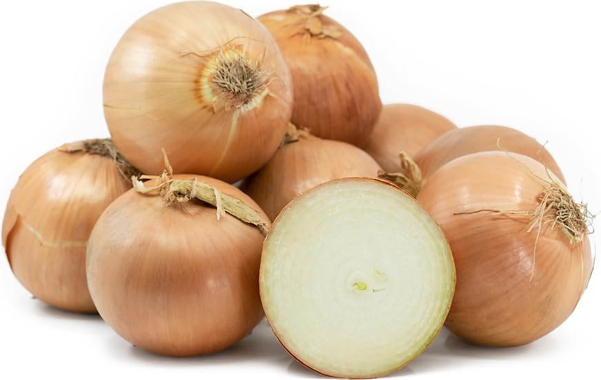 Generic Fresh Yellow Onions, Fresh Produce, USA Grown, Non-Gmo, Bulk Wholesale (10 Pounds)