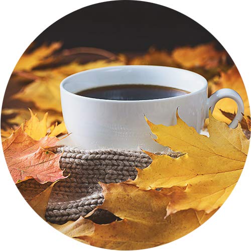 Paramount Roasters Ground Coffee, Fall In Love Vanilla Nut Cream, 12 Ounce, Brown