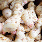 Fresh Galangal from Hawaii (2)