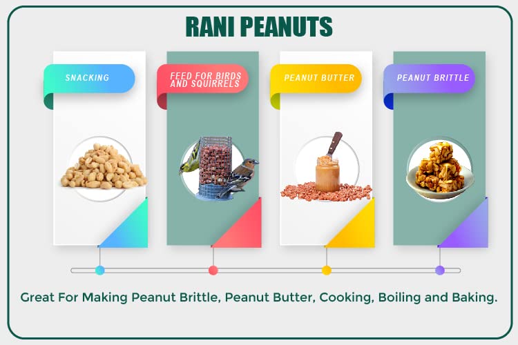 Rani Peanuts, Raw Whole With Skin (uncooked, unsalted) 48oz (3lbs) 1.36kg Bulk ~ All Natural | Vegan | Kosher | Gluten Friendly