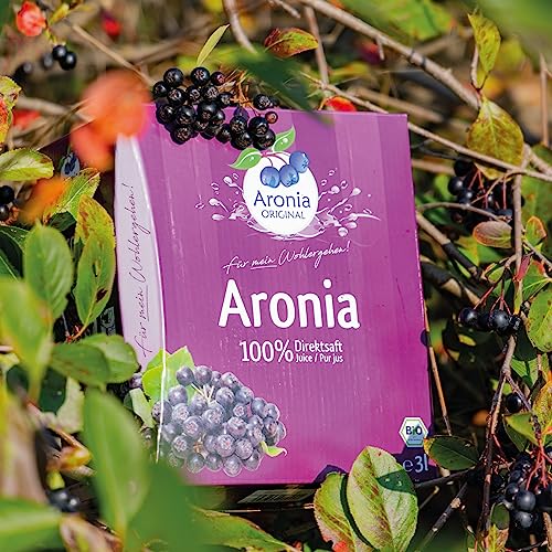 Aronia ORIGINAL Organic Aronia Berry Juice Box 101.4 Fl Oz | 100% Pure Aronia Fruit Juice, No Added Sugar, Not From Concentrate