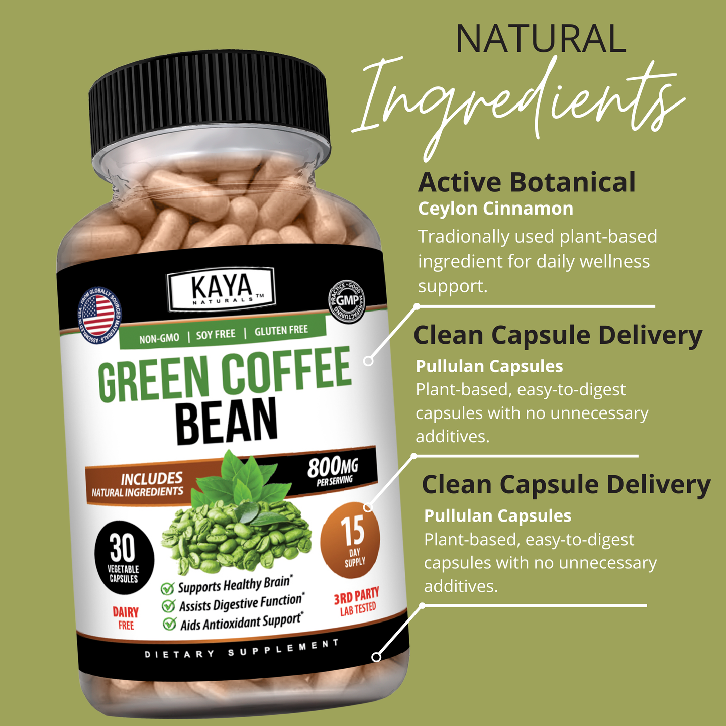 Green Coffee Bean