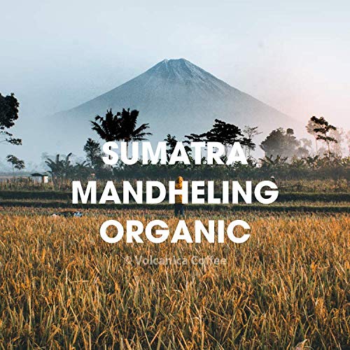 Sumatra Mandheling Coffee Beans, Usda Organic, Medium Roast, Whole Bean, Fresh Roasted, 5 Lbs