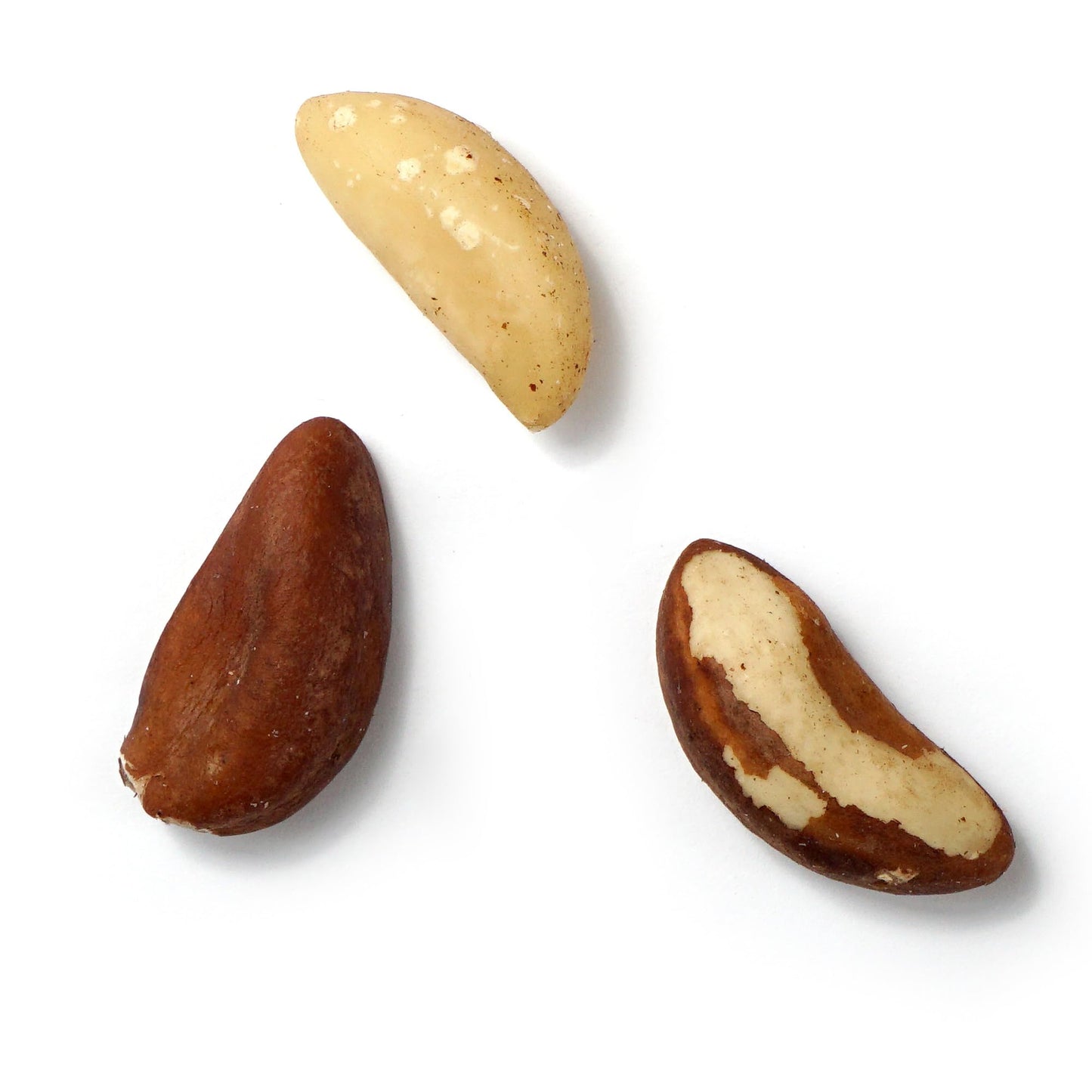 Hampton Distribution Raw Brazil Nuts, Whole, No Shell, 1 Pound Bag