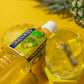 Aloevine Aloe Vera Drink Pineapple healthy juice pure with chunks of aloe l 16.9 oz. 10 pack l plant based Vegetable Korean drin