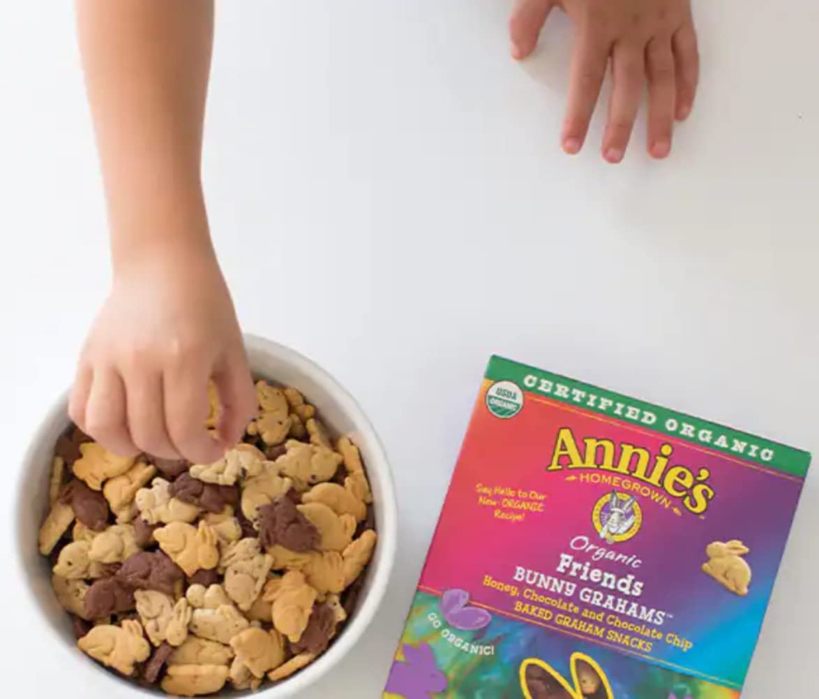 Annies Organic Friends Bunny Grahams - Pack of 20 - Delicious Baked Grahams - Chocolate Chip and Chocolate Honey Flavors - Cert