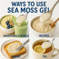 Healistix Raw Sea Moss Gel [16 Oz] - Exquisitely Crafted from Irish Seamoss Wildcrafted in The Pristine Waters of St Lucia, A Na
